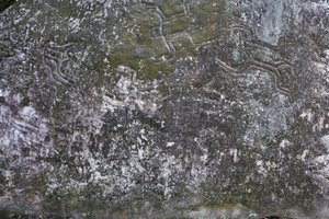Immagine sconosciuta da Unbekannt Unbekannt